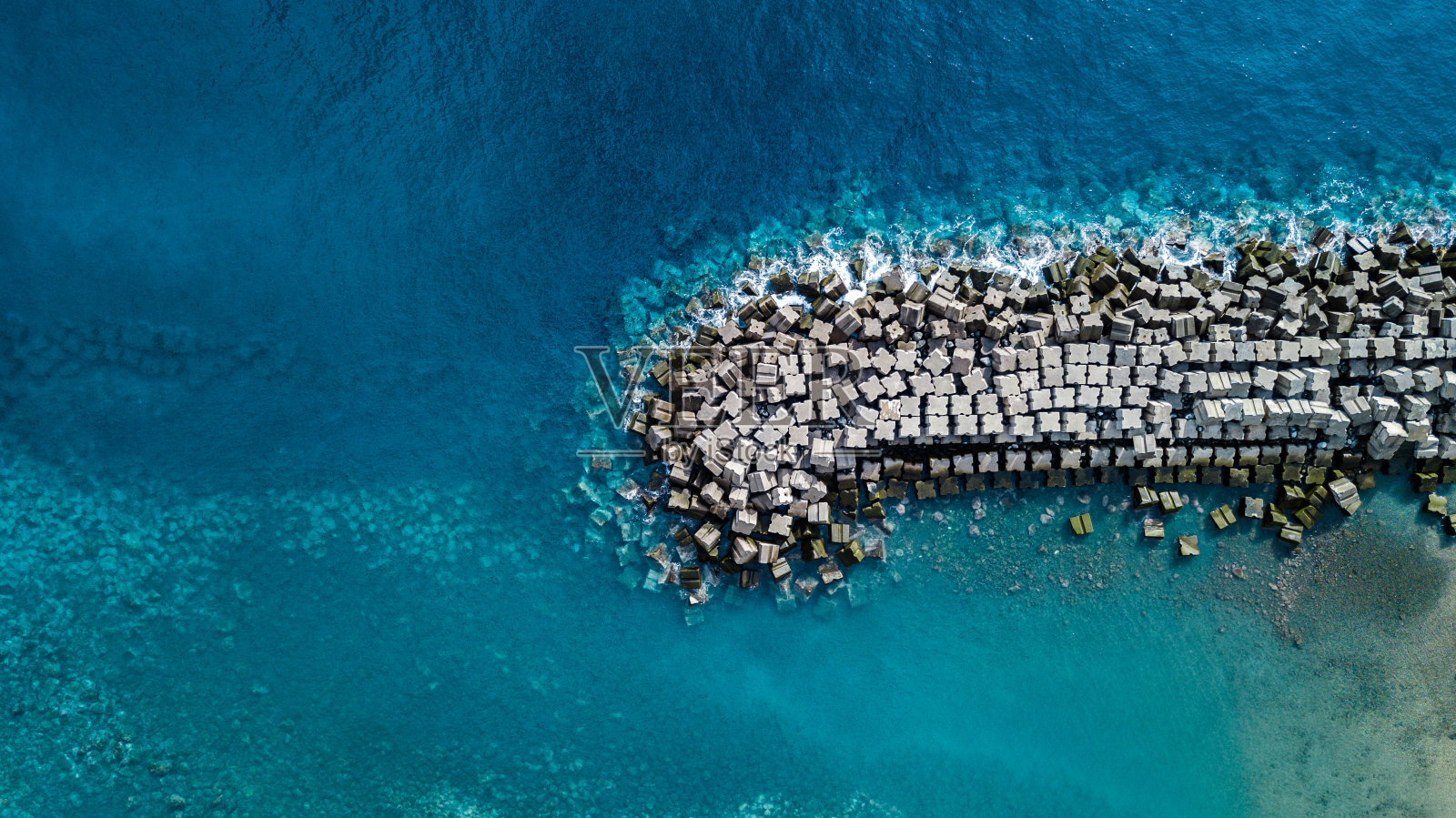 四足动物俯视图照片摄影图片