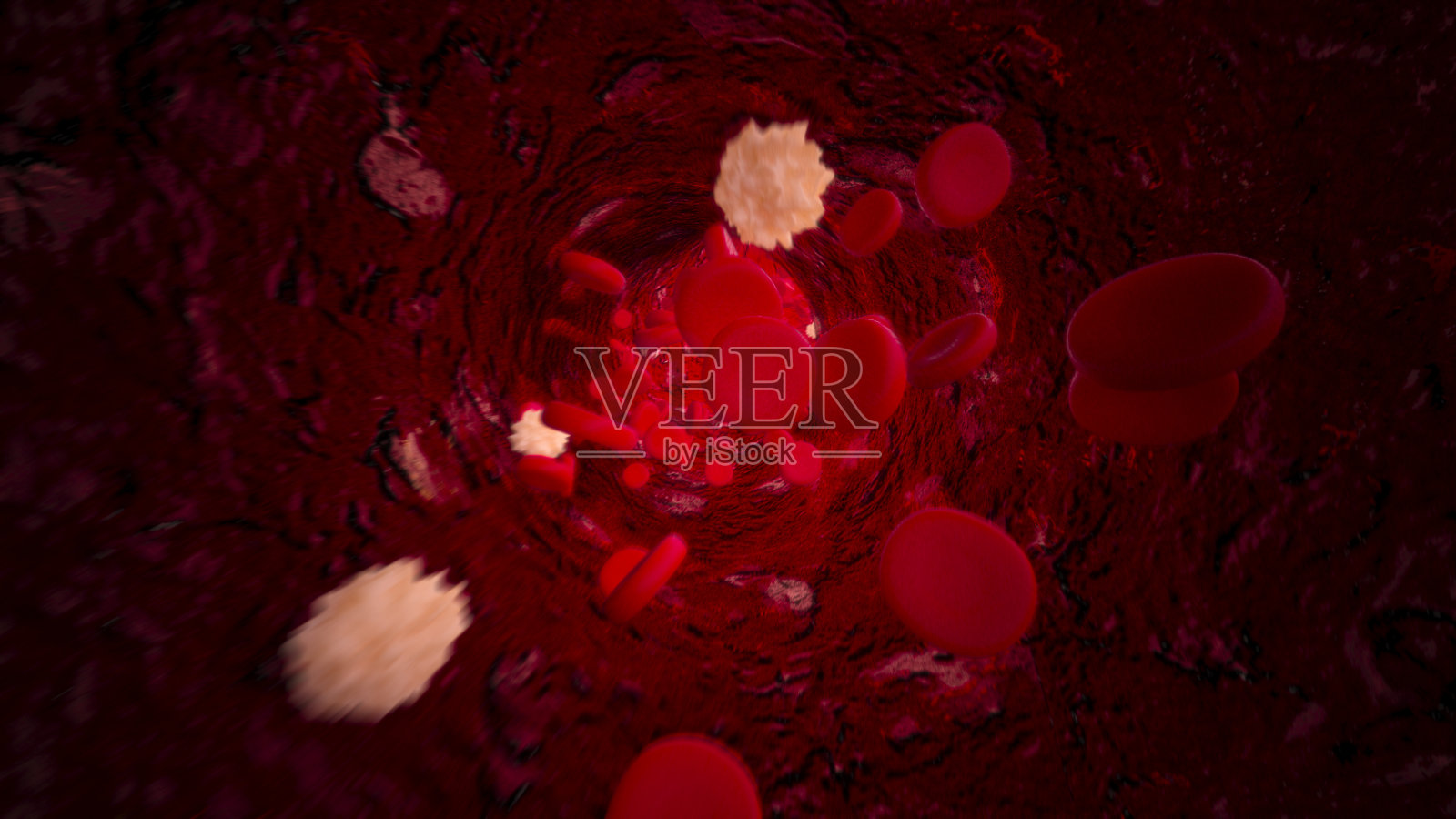 通过血管的淋巴细胞和红细胞。医学科学与研究,保健理念照片摄影图片