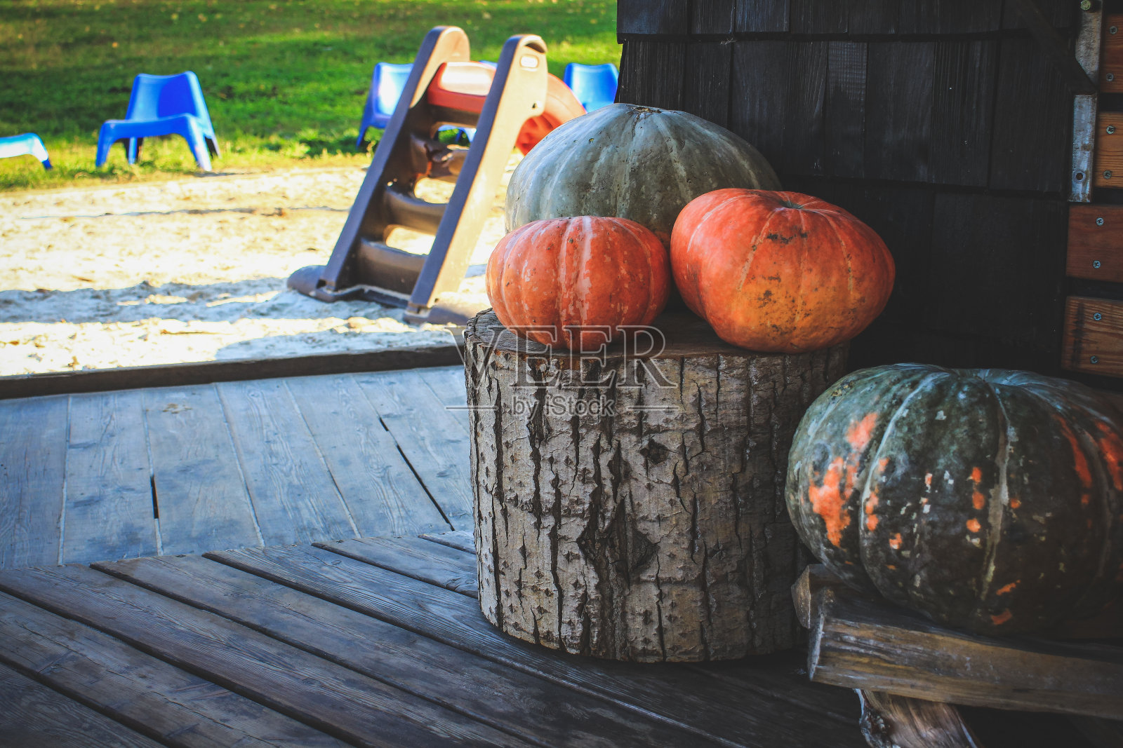 万圣节前夕,房子附近装饰着南瓜照片摄影图片