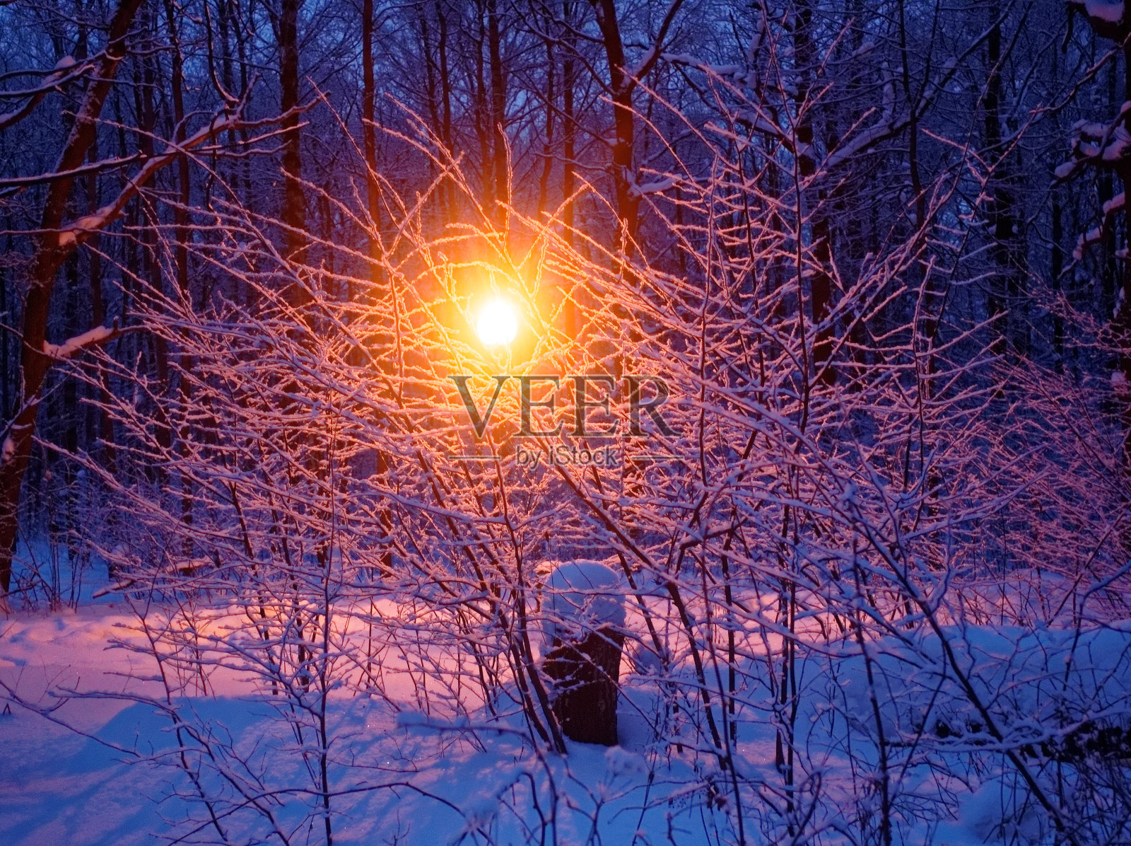 冬天夜晚的街灯照片摄影图片