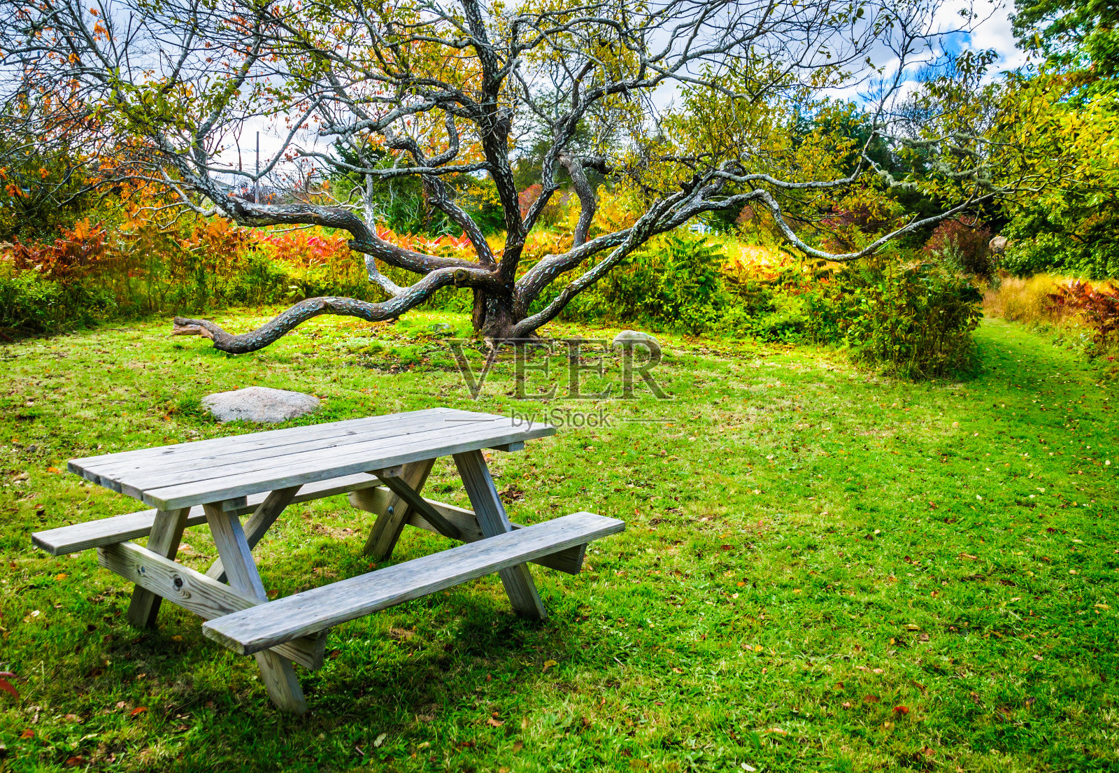秘密的野餐地点照片摄影图片