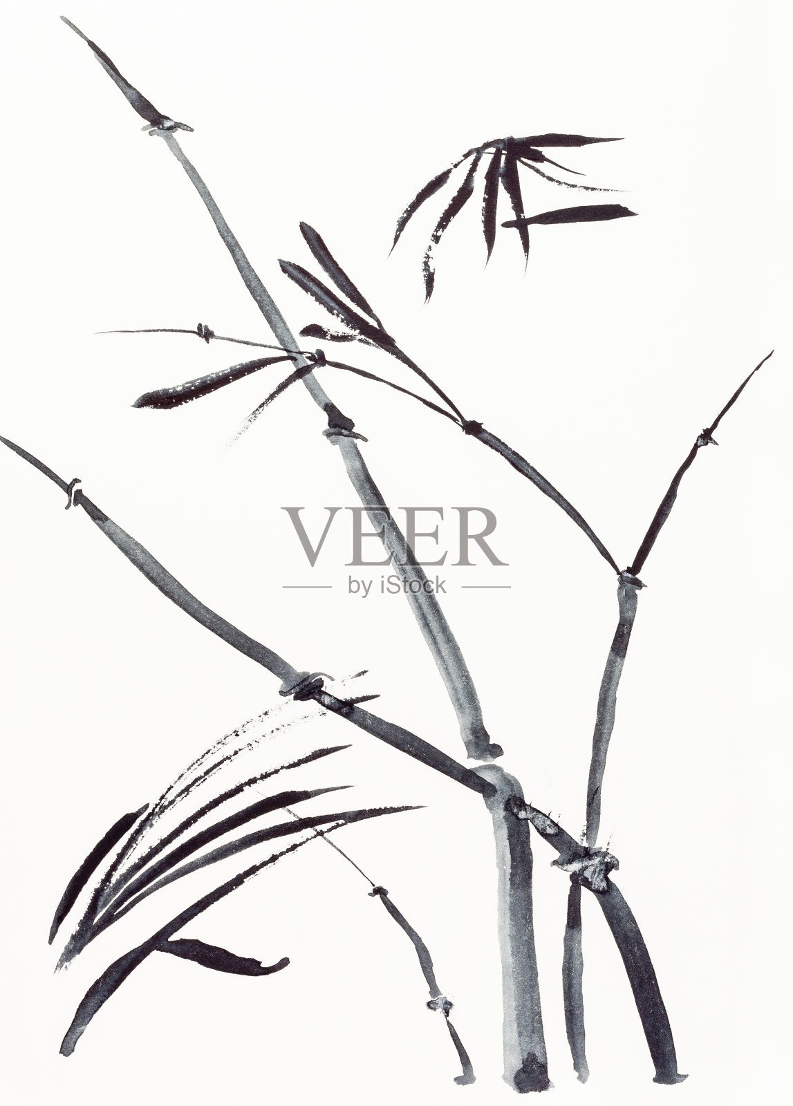 用黑色水彩画的竹子设计元素图片