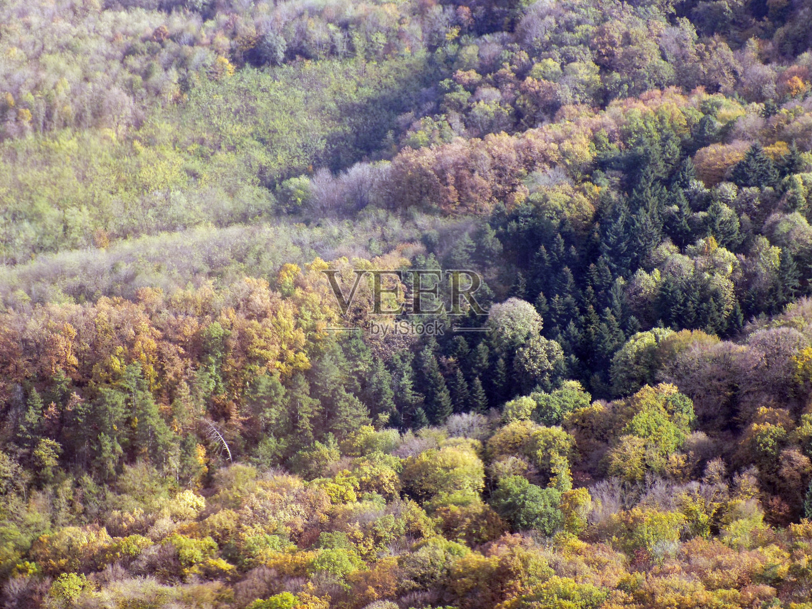 秋天森林的鸟瞰图照片摄影图片