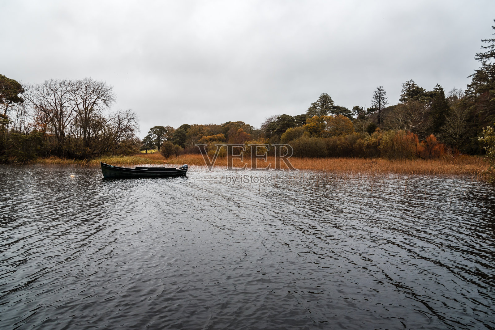 雾气蒙蒙的基拉尼湖上的小船风景照片摄影图片
