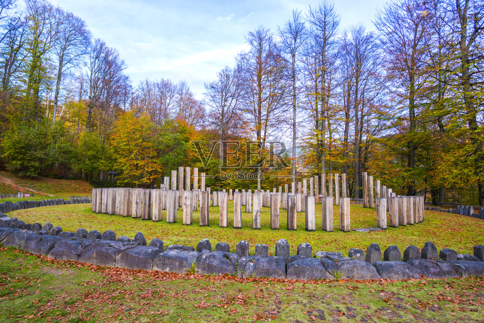 鲁伊斯照片摄影图片