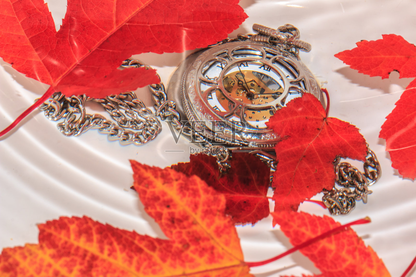 时间,树叶和水照片摄影图片