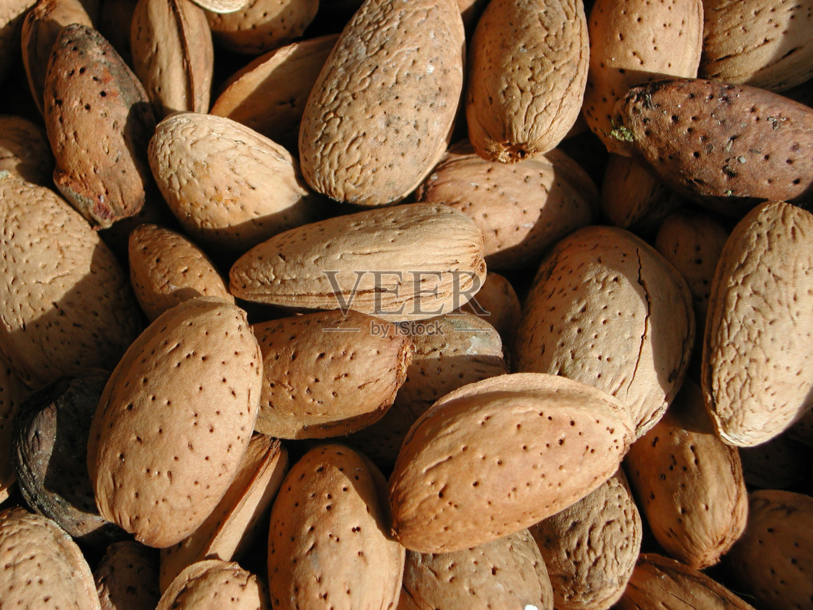 杏仁照片摄影图片