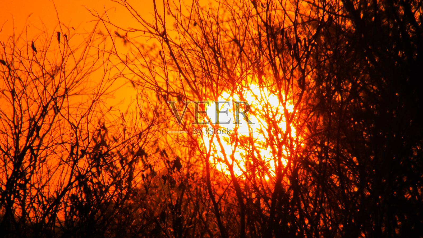 日落,美丽的天空,橙色金色的云照片摄影图片