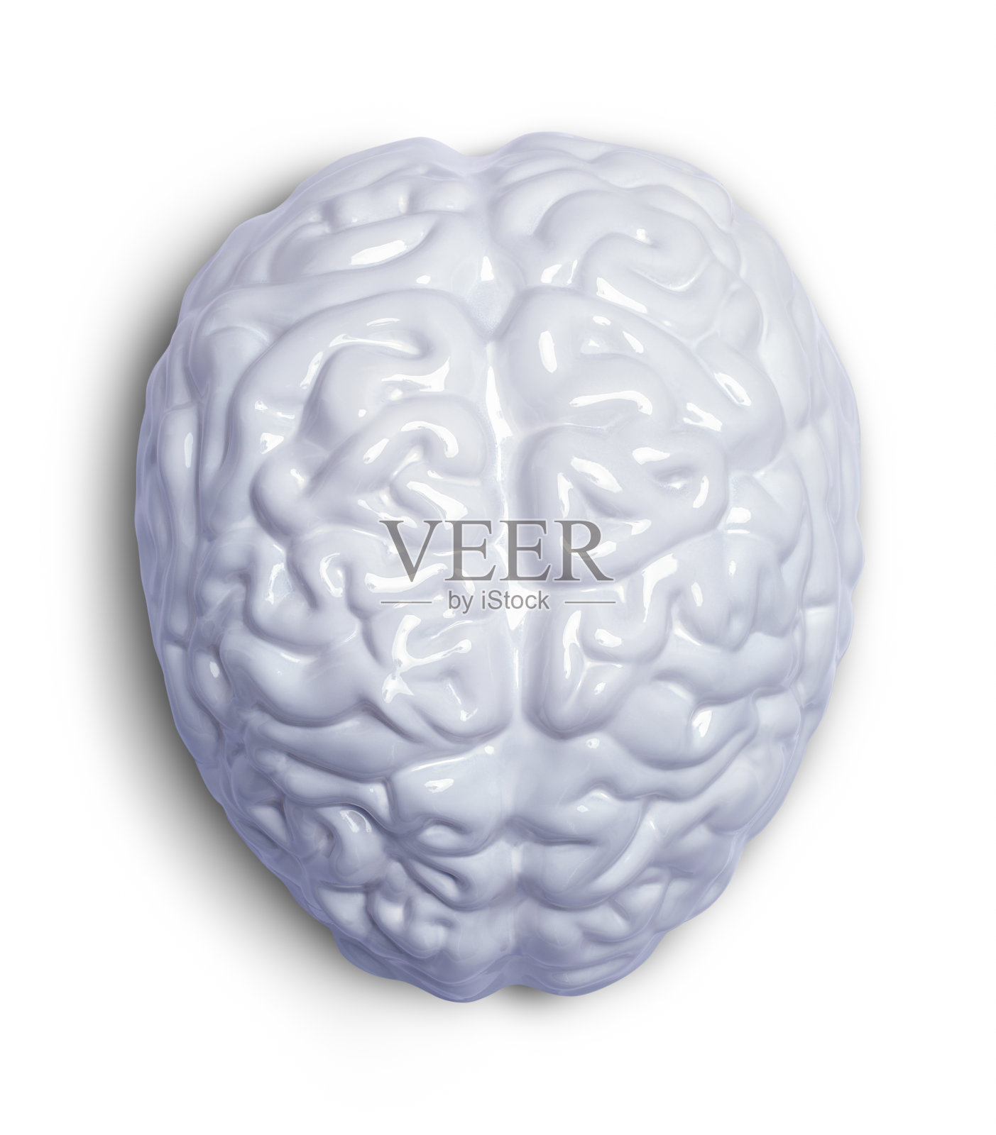 白色的大脑前照片摄影图片