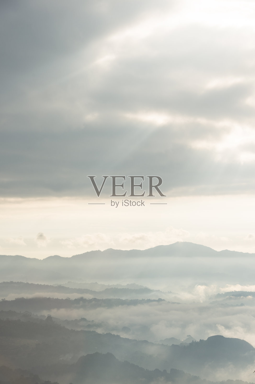 雾蒙蒙的早晨,托拉加传统村庄和稻田。照片摄影图片