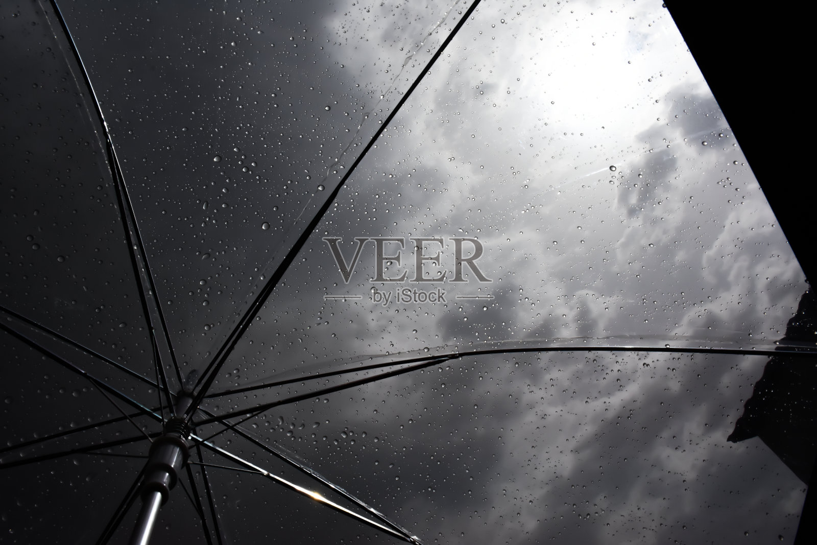 雨天中的雨伞照片摄影图片