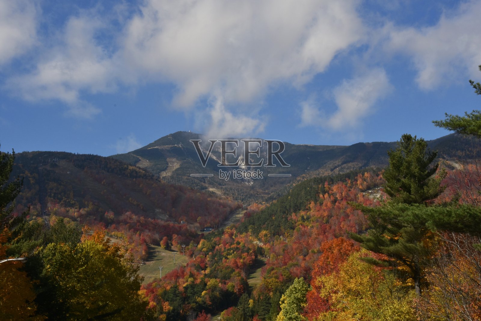 成白脸mtn照片摄影图片