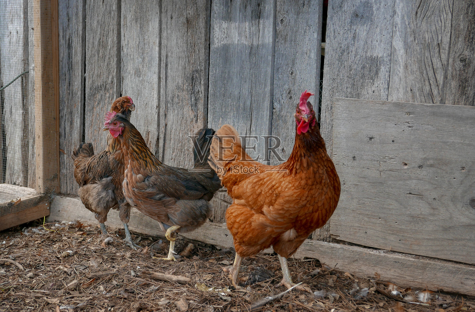 卢瑟福县,TN农场照片摄影图片