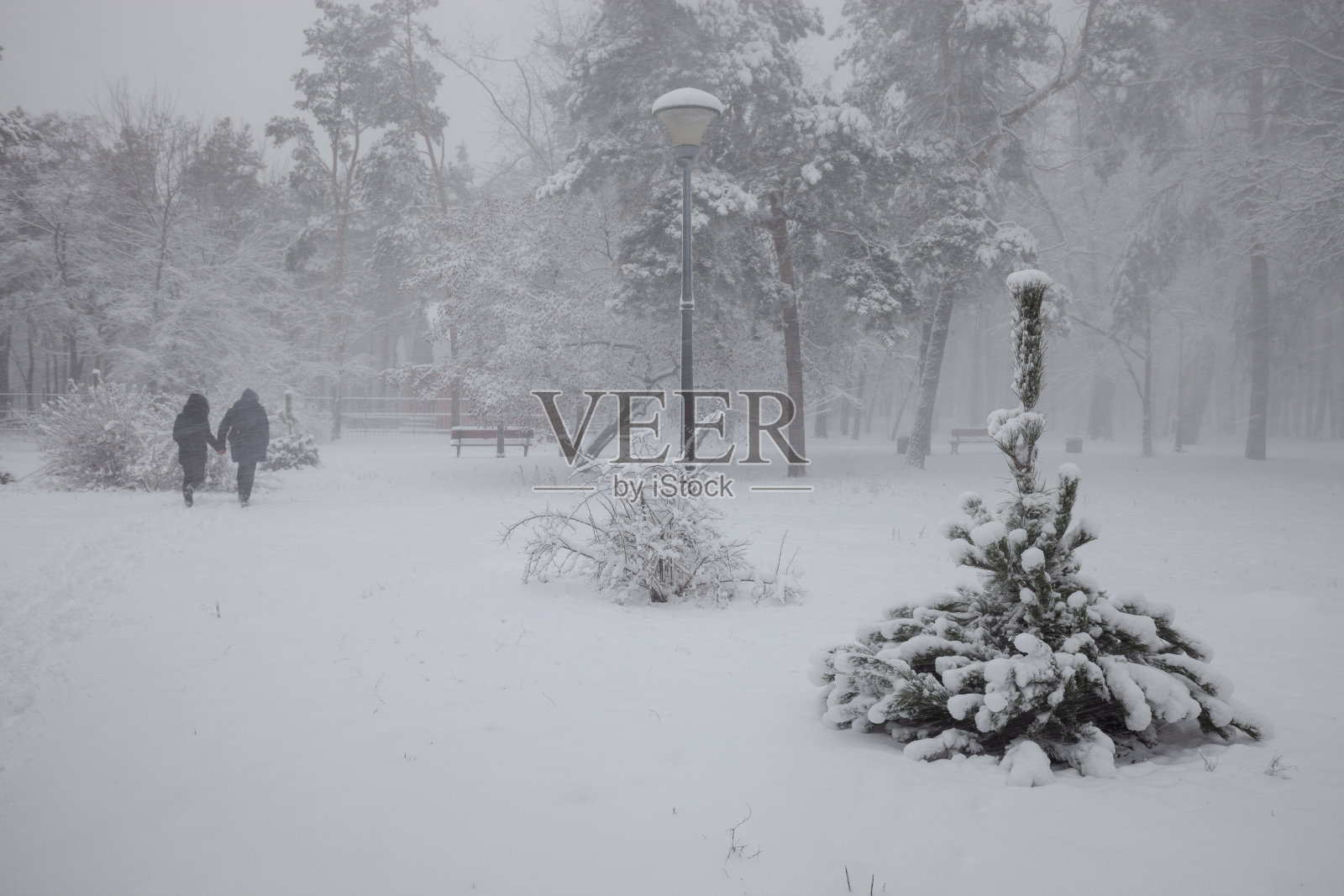 在冬天的雪地里,早上的长椅照片摄影图片