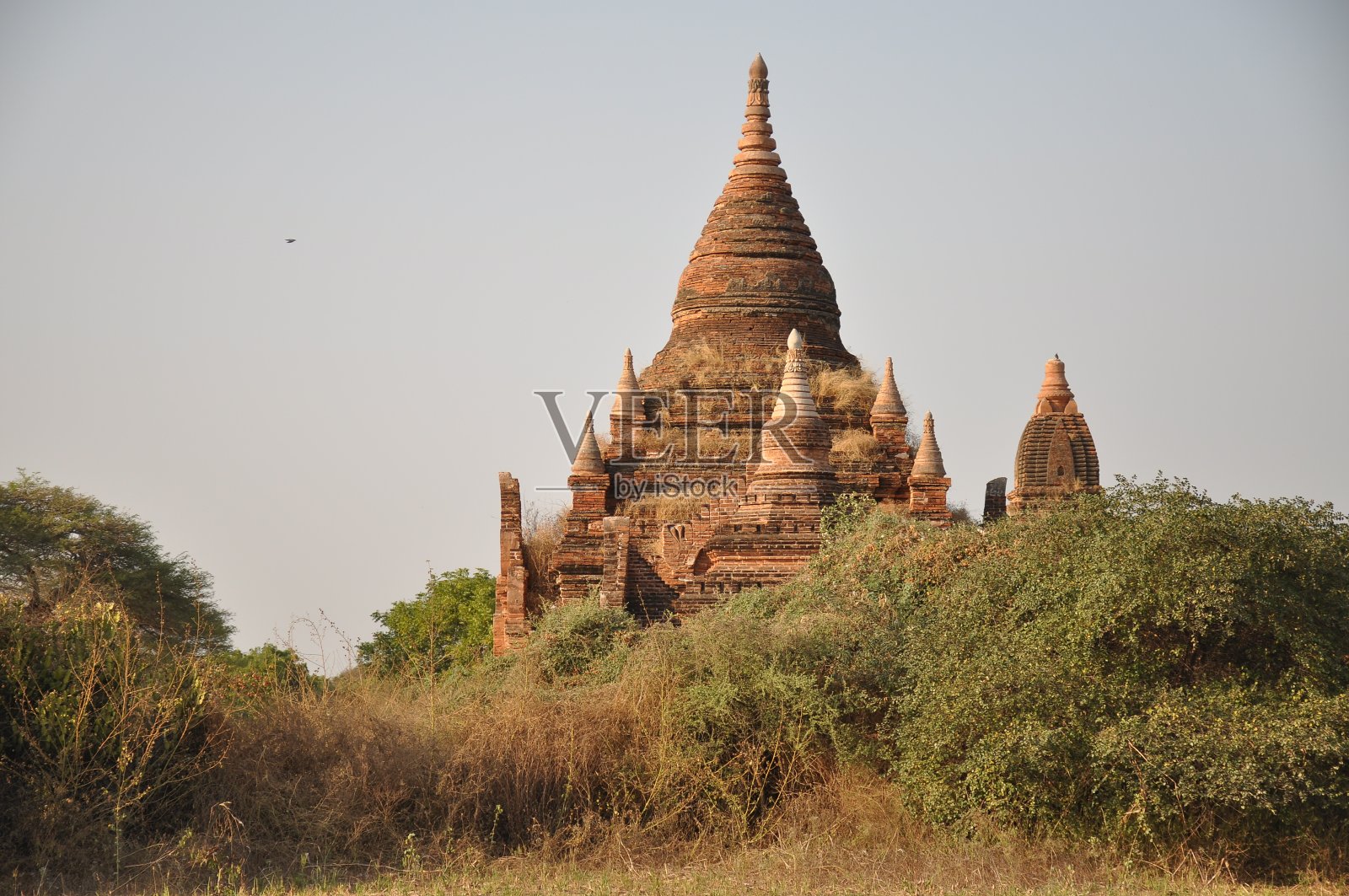 蒲甘的古老寺庙照片摄影图片