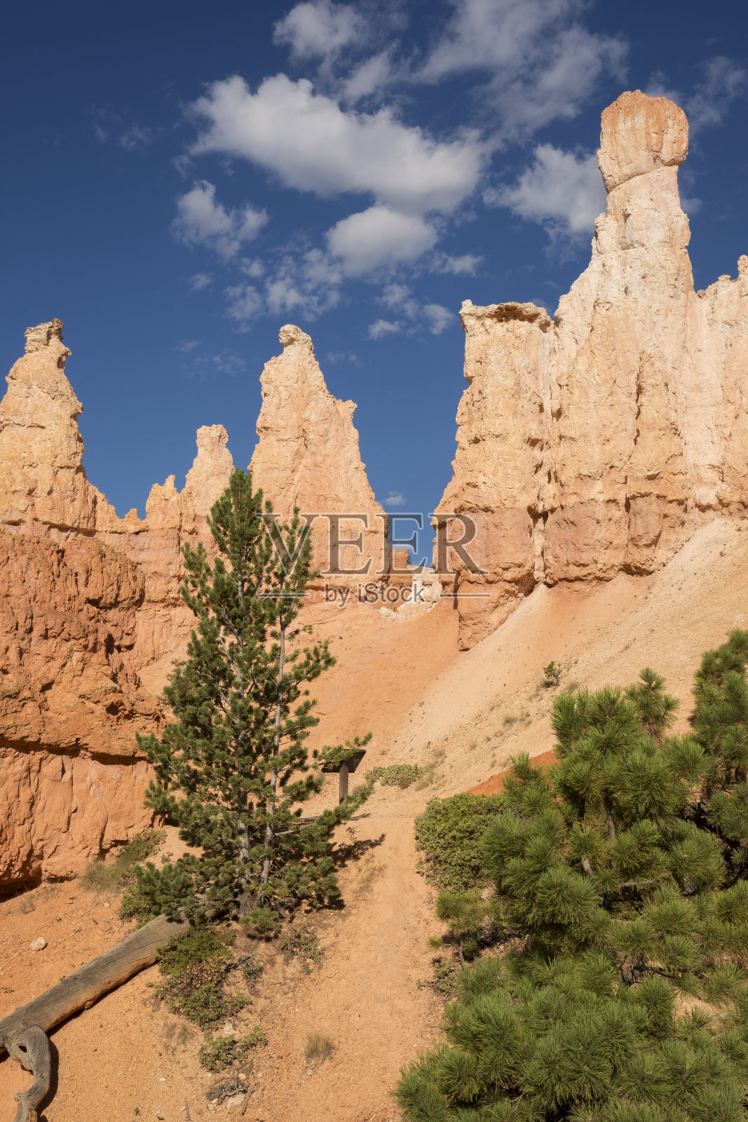 布莱斯峡谷的风景照片摄影图片