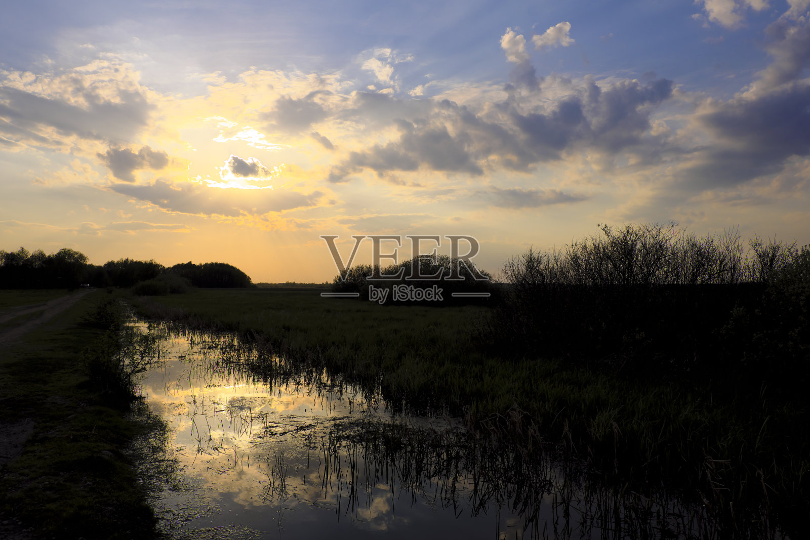 在波兰东北部的Biebrza河野生动物保护区,太阳det的全景覆盖着早春的绿草和森林。照片摄影图片