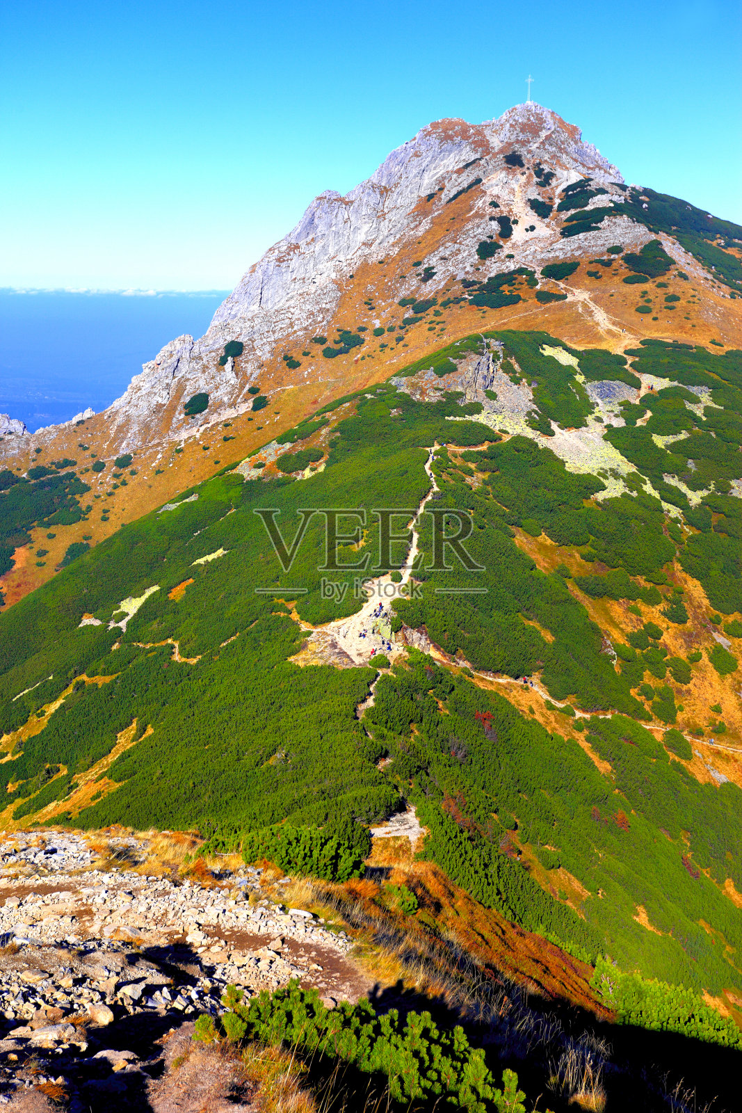 波兰, 塔特拉山脉, 扎科帕内 - 吉翁特峰和威兹尼亚孔德拉卡山口照片摄影图片