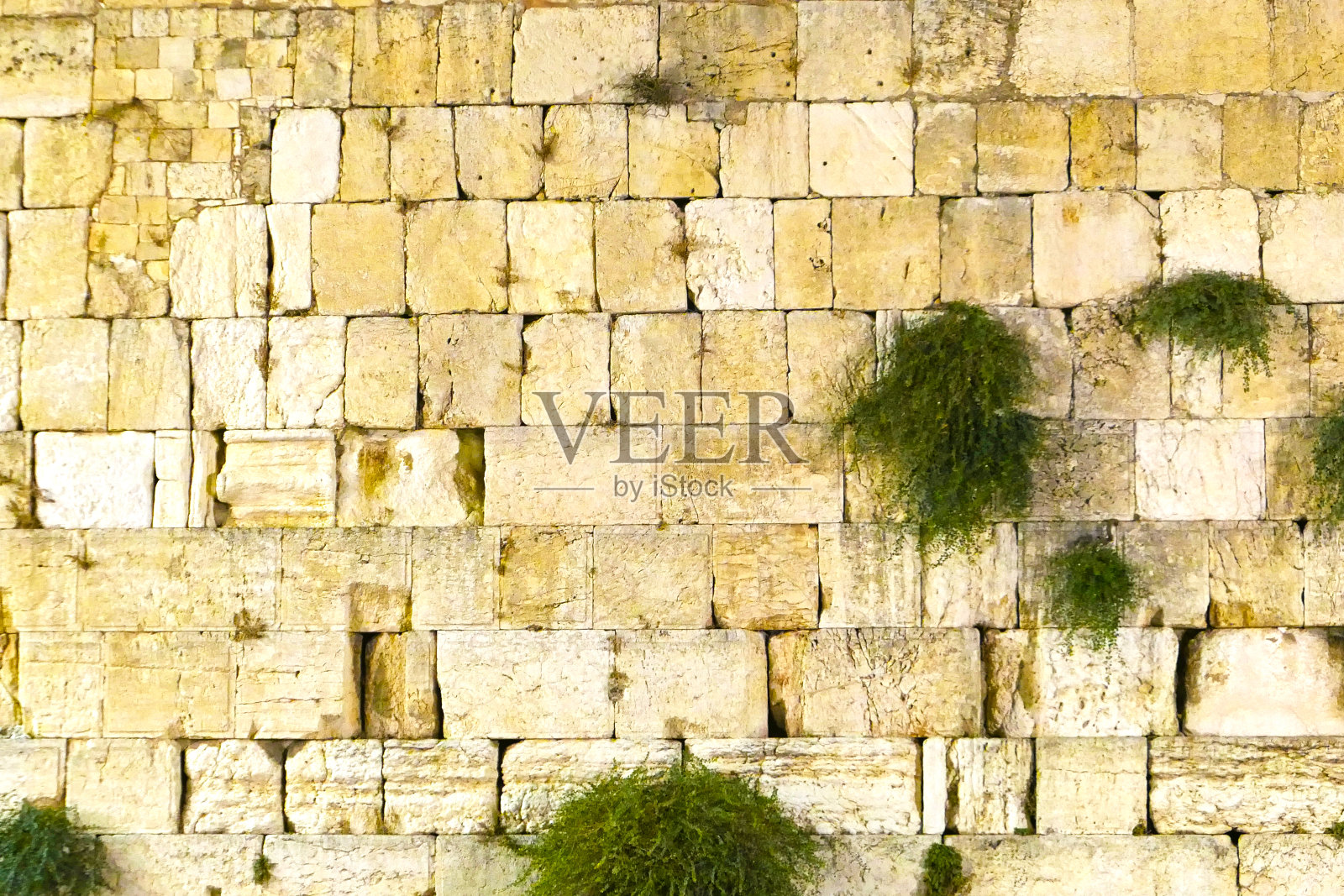 西墙照片摄影图片