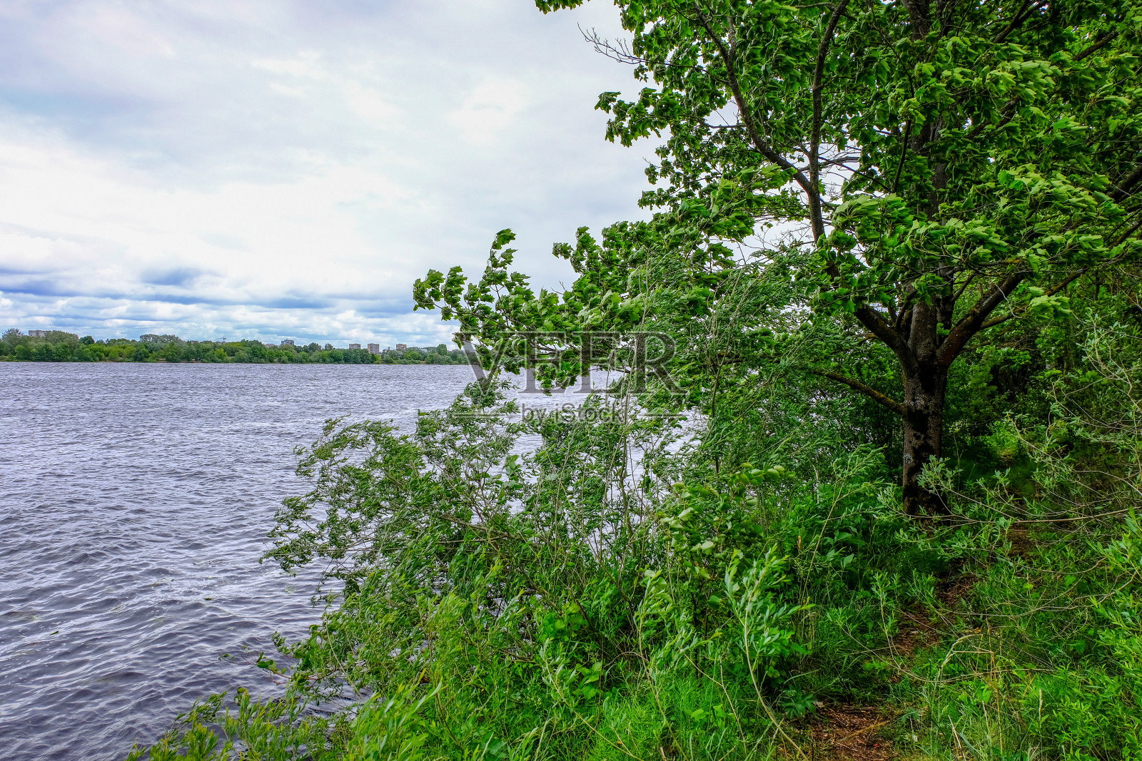 宁静的夏日景色与清澈的湖水照片摄影图片