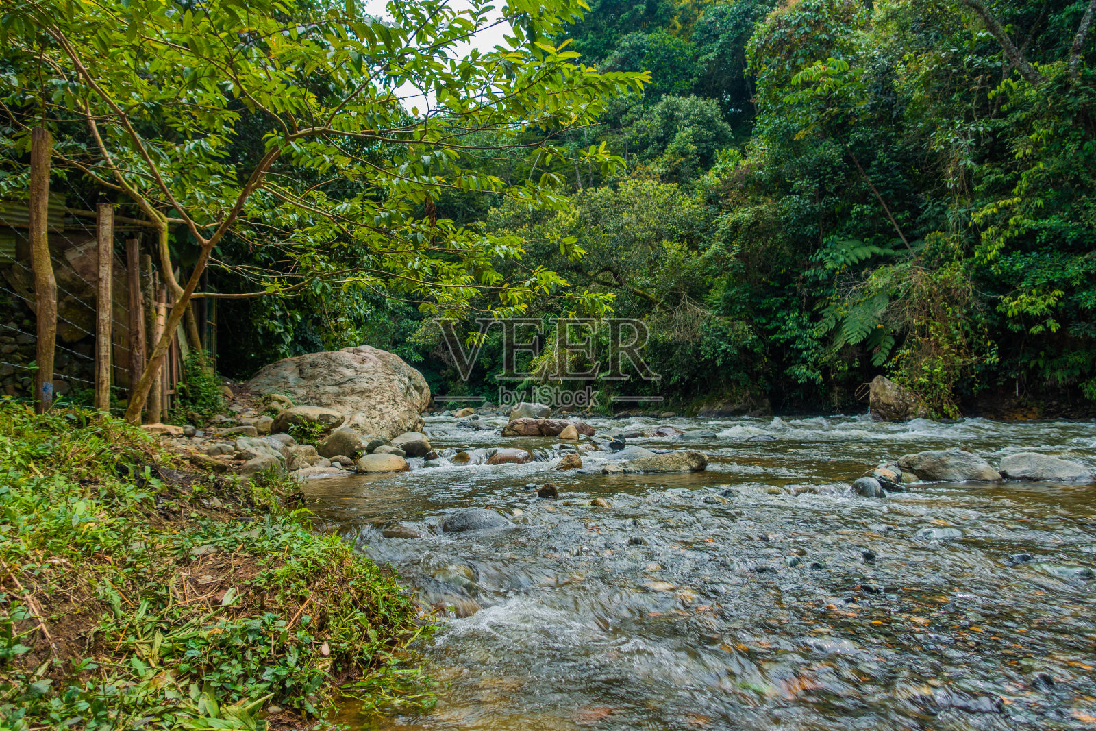 有植物和岩石的河流照片摄影图片