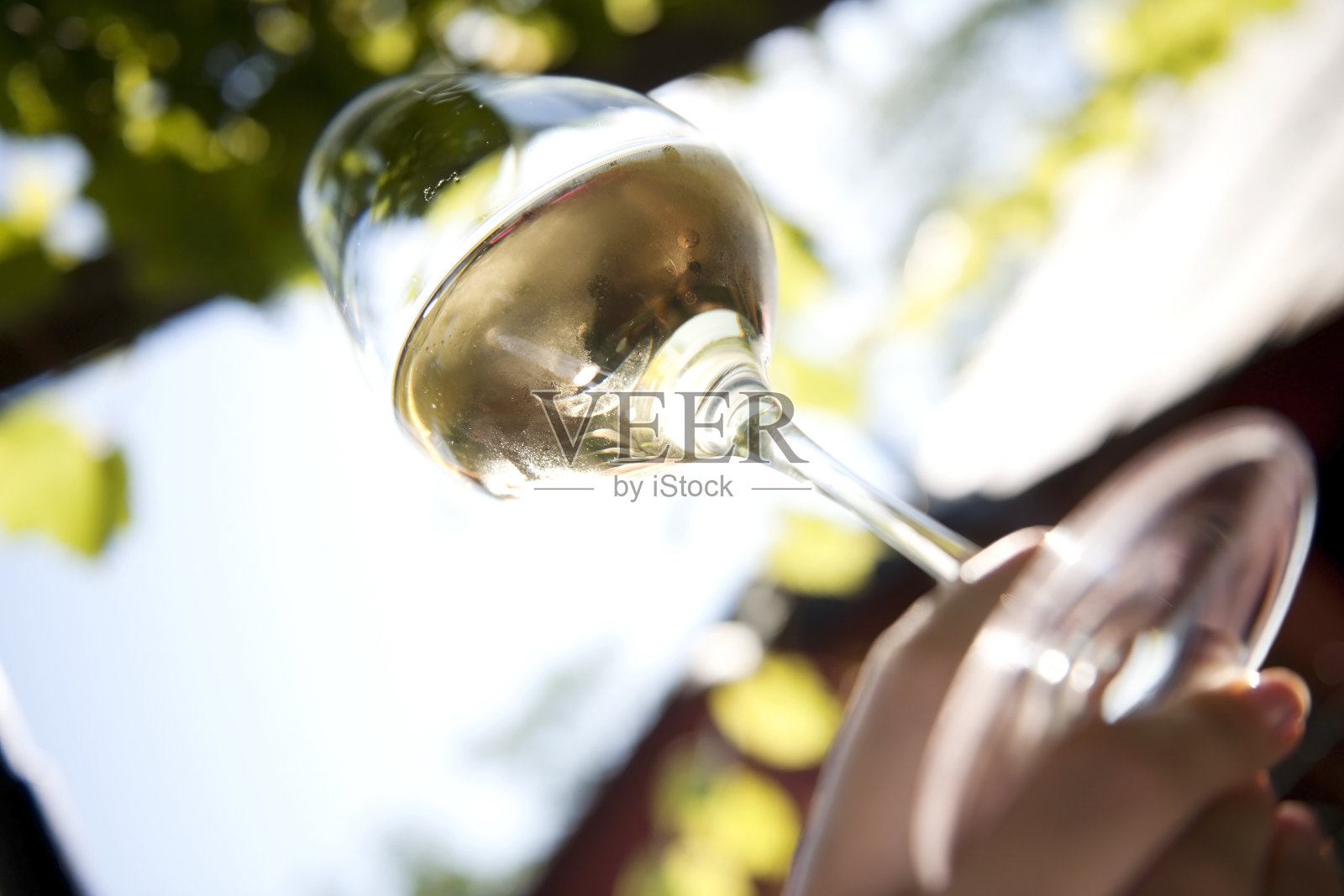 提高葡萄酒杯照片摄影图片