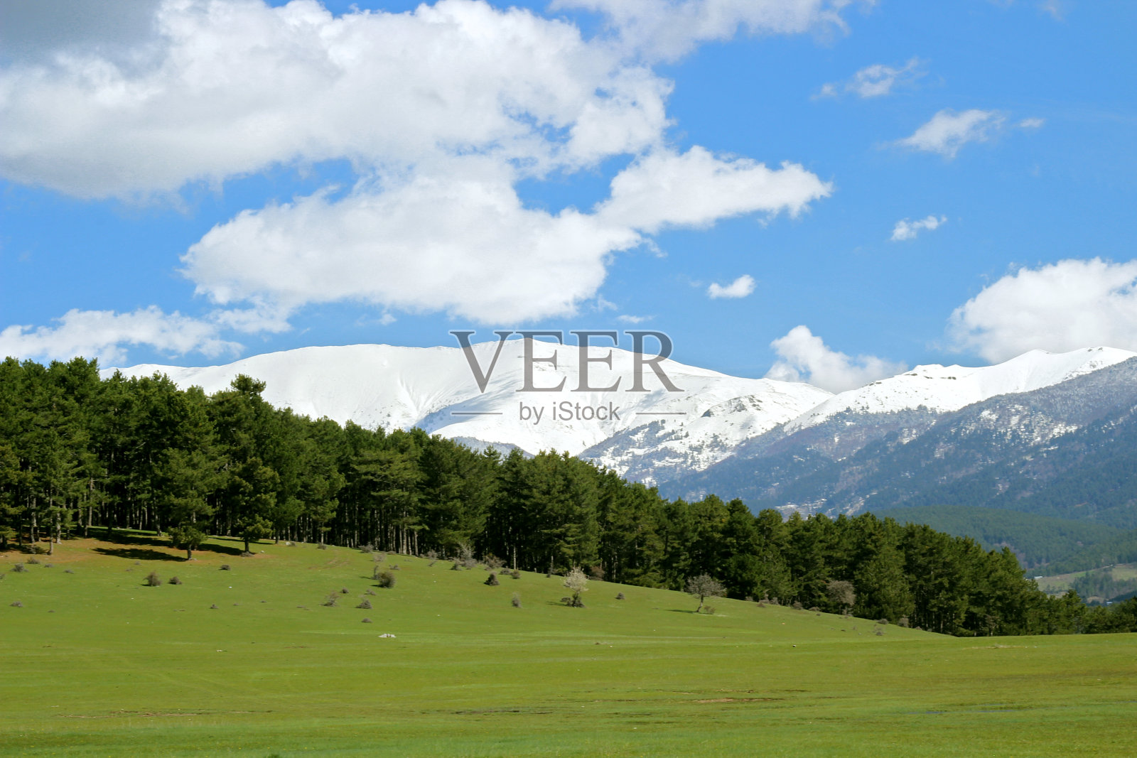 不可思议的风景有山,雪和树照片摄影图片