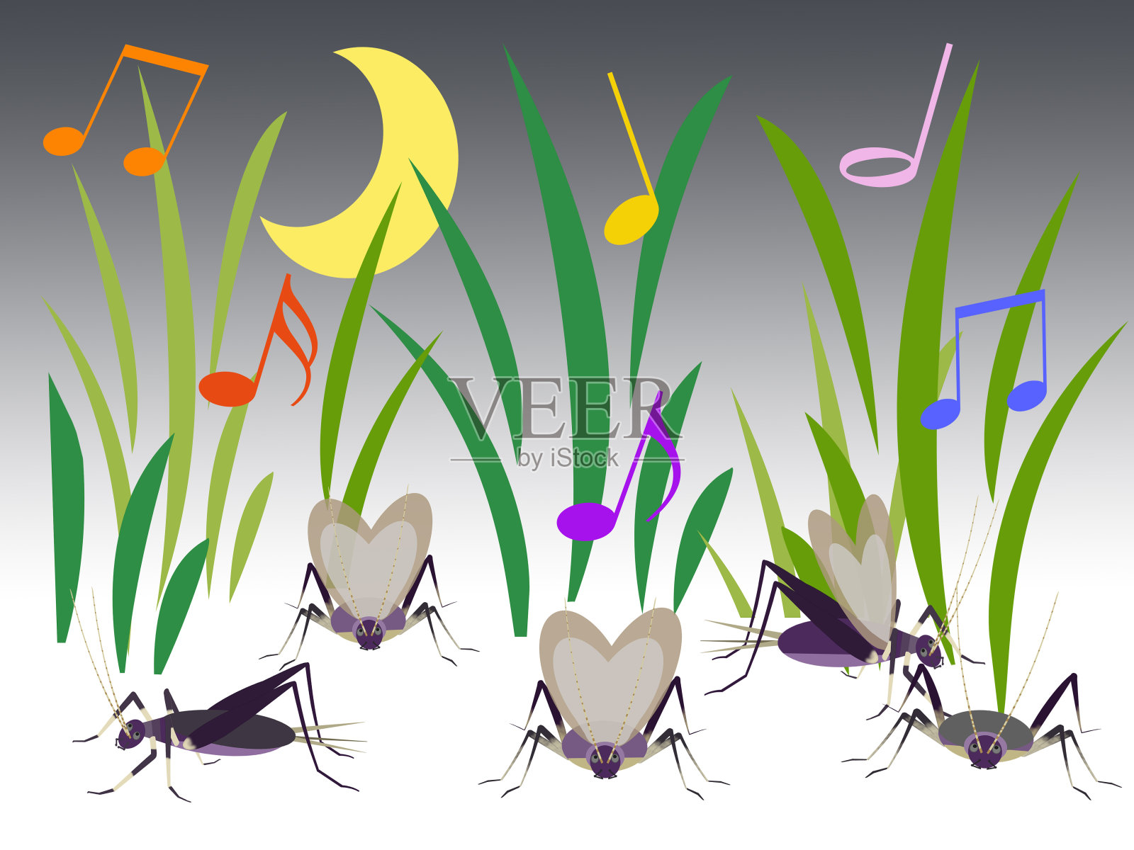 昆虫插画图片素材