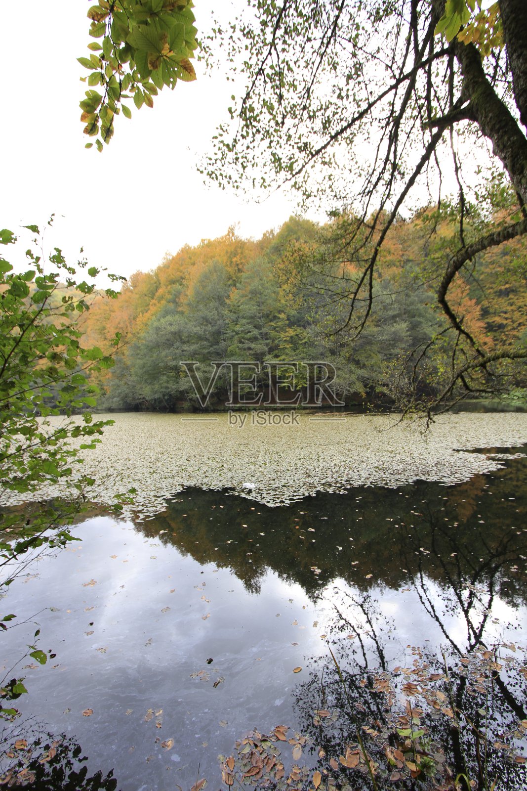 土耳其七湖的美丽风景(耶迪göller)照片摄影图片