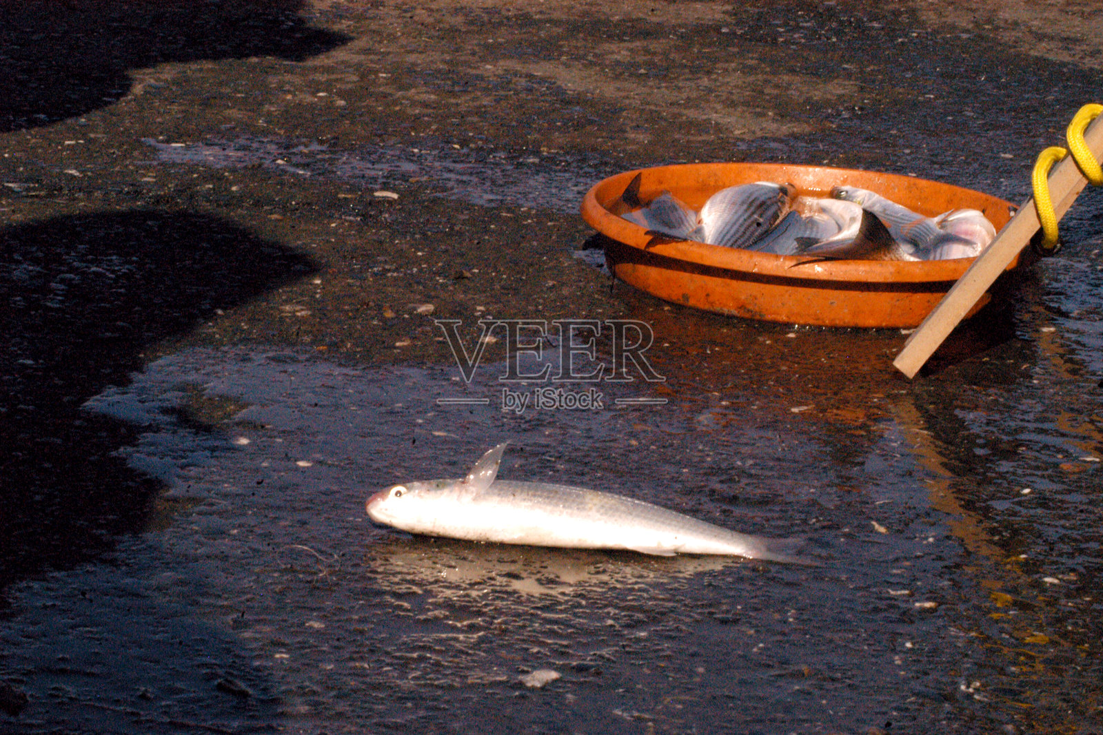 古董店和怀旧的旧相机胶卷照片摄影图片
