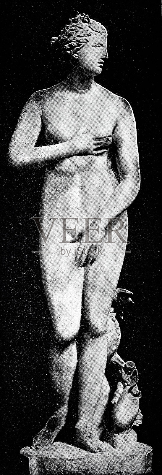 古罗马的维纳斯女神雕像照片摄影图片