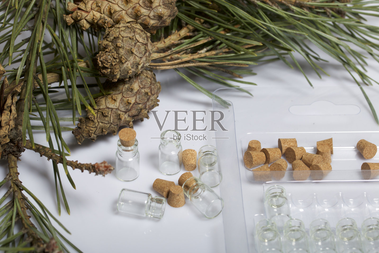 包装里有软木塞的玻璃瓶。珠子。位于白色背景上有球果的松树的树枝中间。照片摄影图片