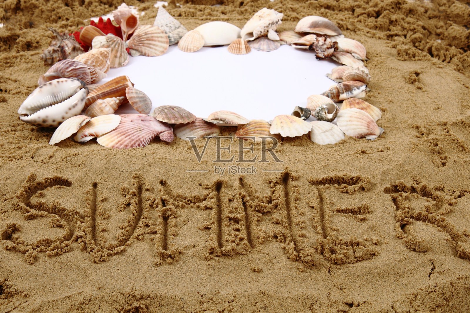 从沙子和贝壳的框架照片摄影图片