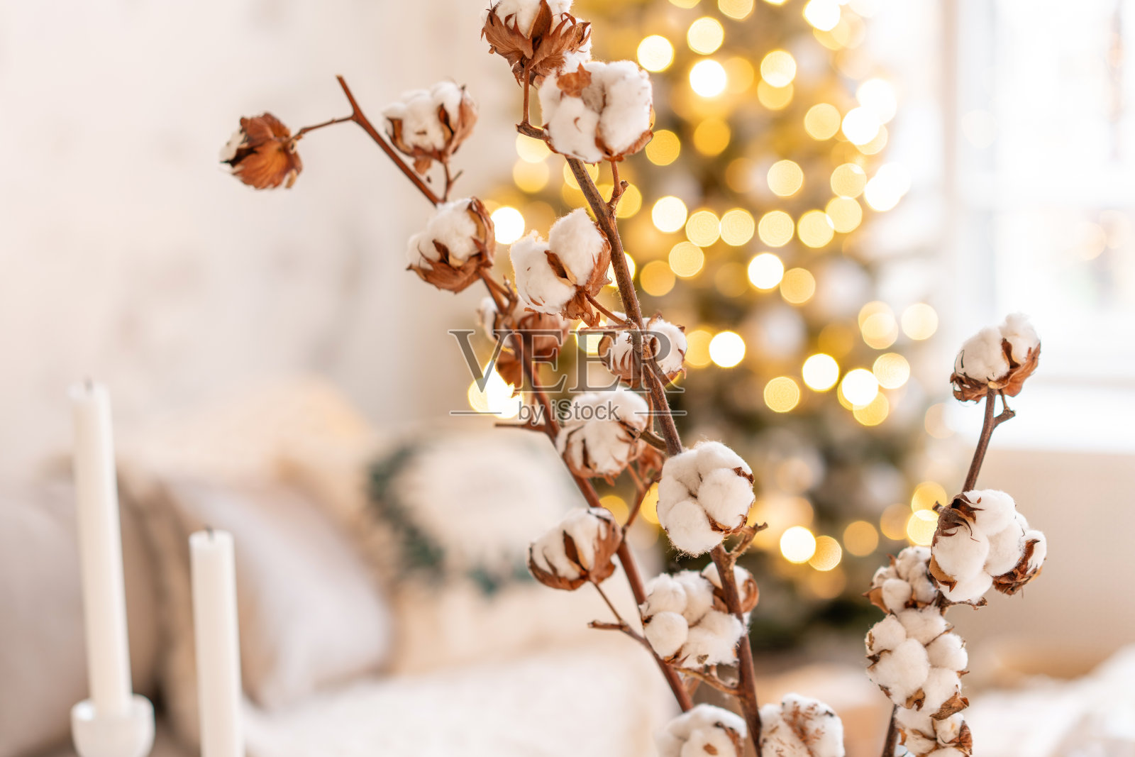 有棉花枝的花瓶。用圣诞树点亮客厅。舒适的沙发,又高又大的窗户照片摄影图片