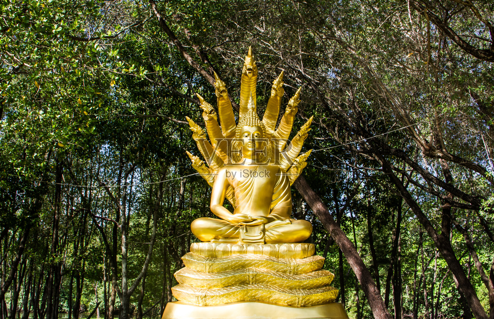 金色的佛像照片摄影图片