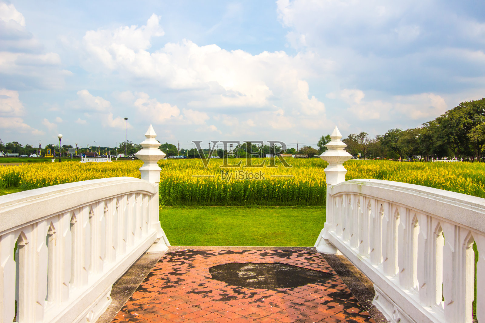 泰国那空帕伐省普陀蒙顿公园的黄田地和小白桥。照片摄影图片