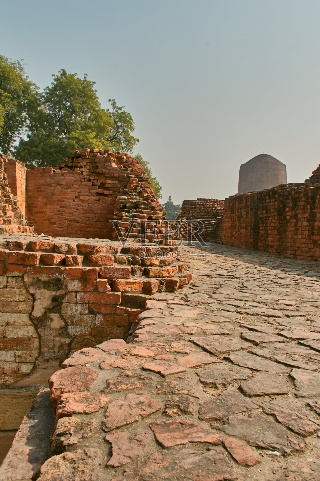 出土的废墟和周围的花园,萨拉纳特Dhamekh Stupa照片摄影图片