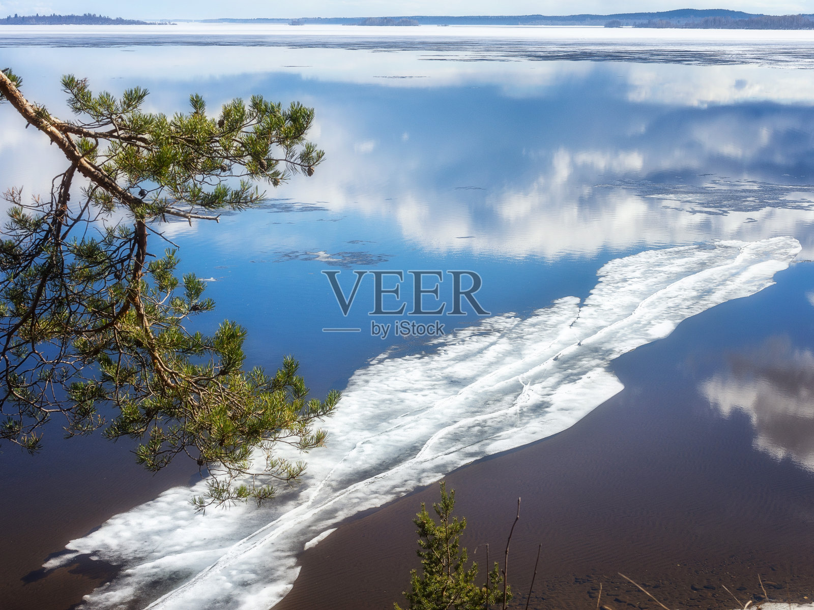 春天是有的照片摄影图片