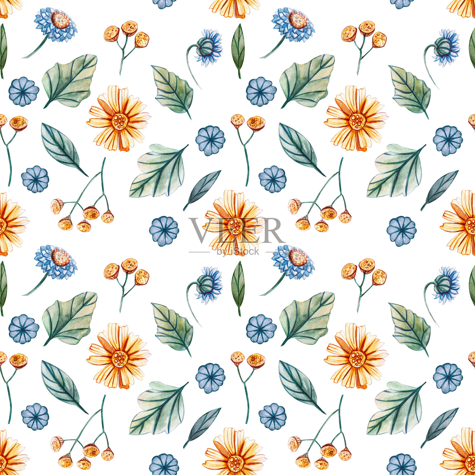 无缝模式与水彩花与黄色雏菊和蓝色矢车菊在白色的背景。插画图片素材