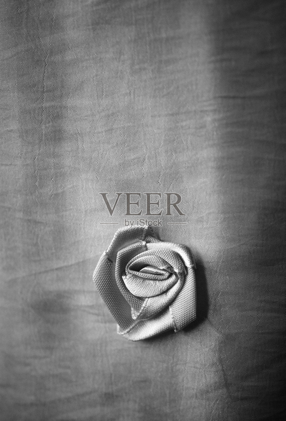 窗帘上有一朵黑白相间的玫瑰图案照片摄影图片