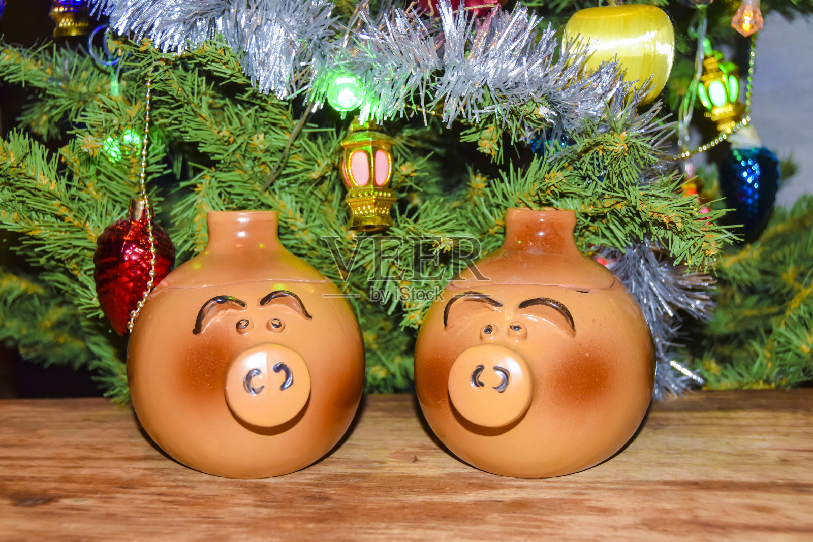 贺年卡猪年小猪娃娃盆的背景上装饰的圣诞树照片摄影图片