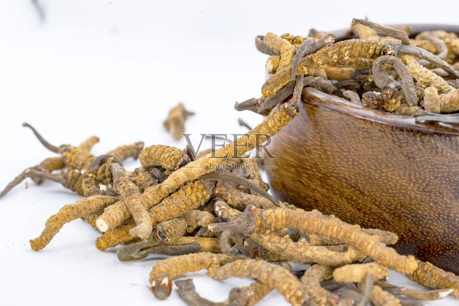 蘑菇寄生虫虫草,虫草。中国和西藏的民间医药。照片摄影图片