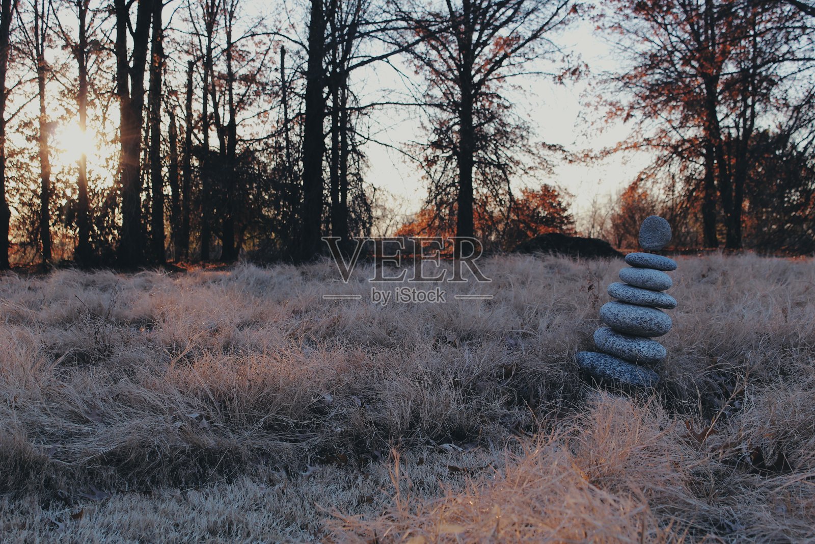 自然的灵性照片摄影图片