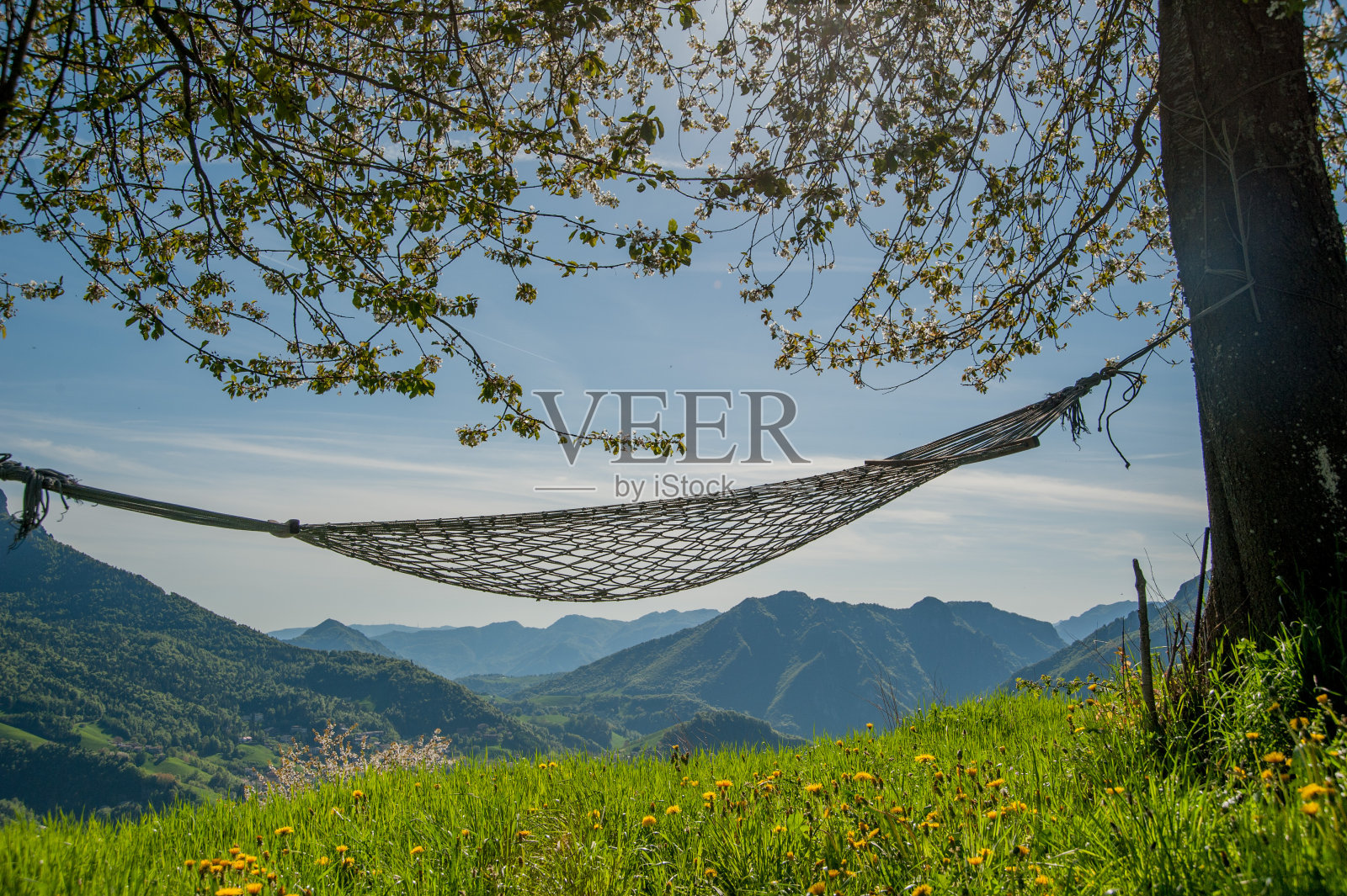 吊床照片摄影图片