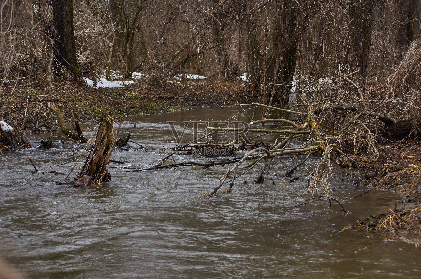 冬天森林里的野生河流。快速的水流。美丽的湿地景观。乔木和灌木的灌丛阴天乌克兰基辅地区。照片摄影图片
