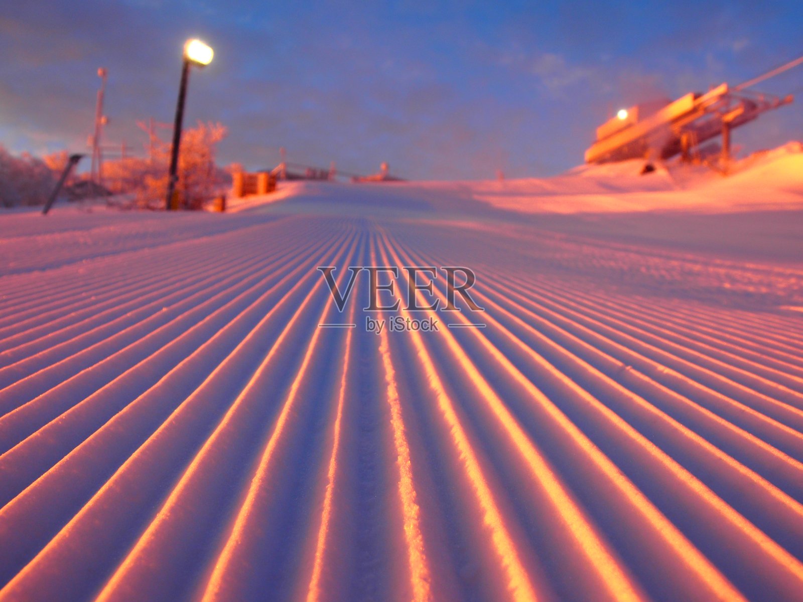 粉红色的小熊照片摄影图片