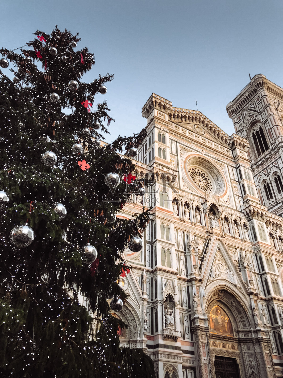 佛罗伦萨的圣诞树照片摄影图片