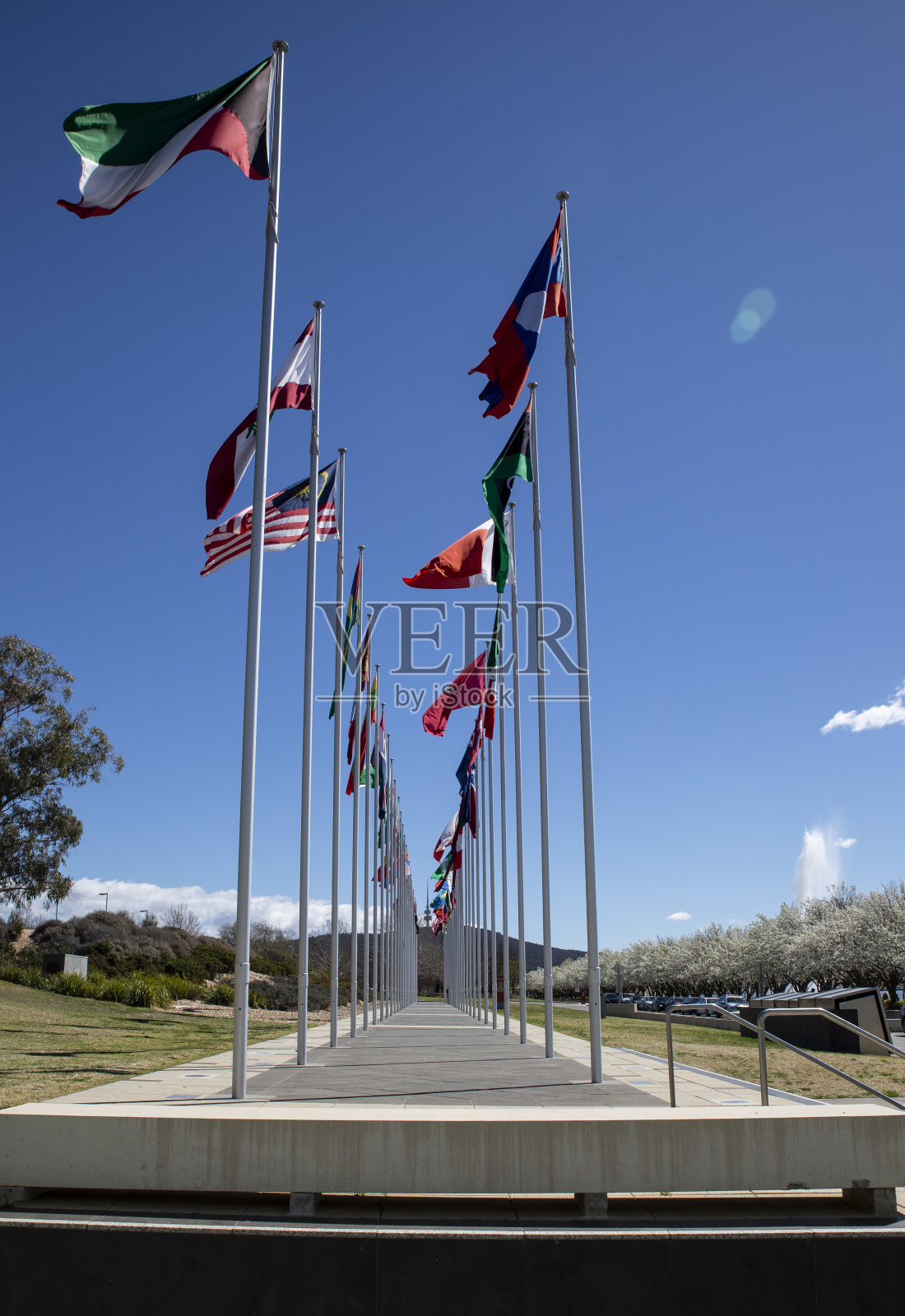 旗帜大道低视点照片摄影图片