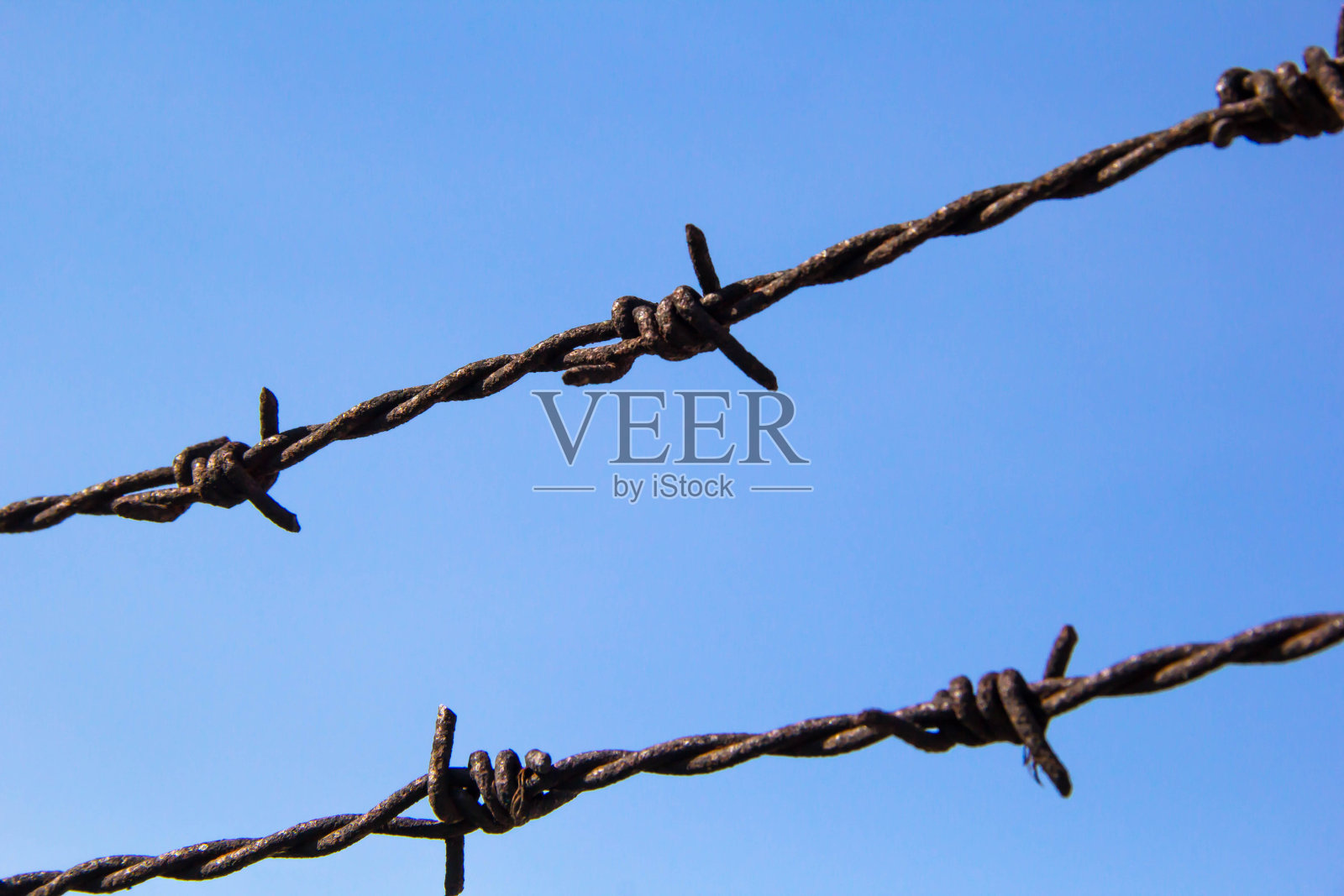 蓝色背景上的老苞片照片摄影图片