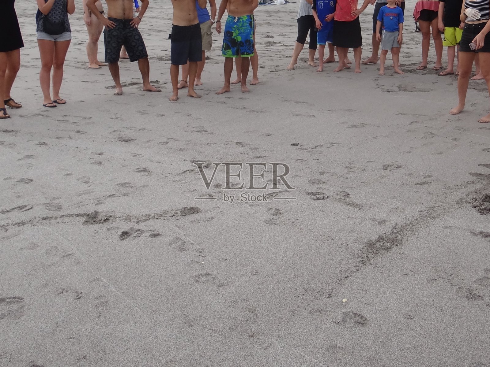 在哥斯达黎加的蒙特祖玛海滩,小榄蠵龟奋力向大海游去照片摄影图片